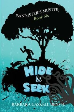 Cover of Hide & Seek