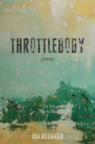 Cover of Throttlebody