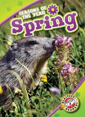 Cover of Spring