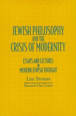 Cover of Jewish Philosophy and the Crisis of Modernity