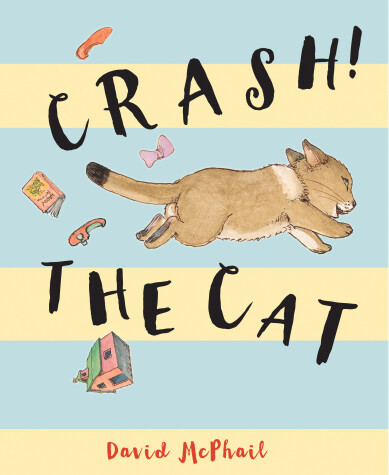 Book cover for Crash! The Cat