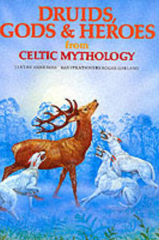 Cover of Druids, Gods and Heroes from Celtic Mythology