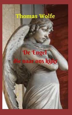 Book cover for De Engel die naar ons kijkt