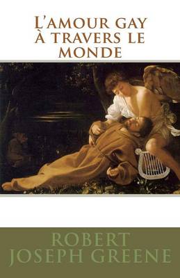 Book cover for L'amour gay a travers le monde