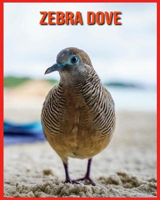 Book cover for Zebra Dove