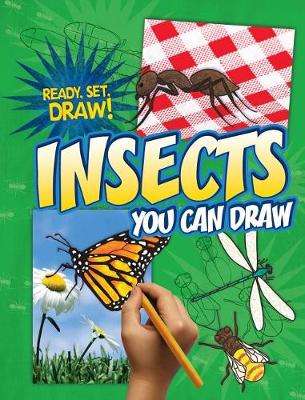 Book cover for Insects You Can Draw