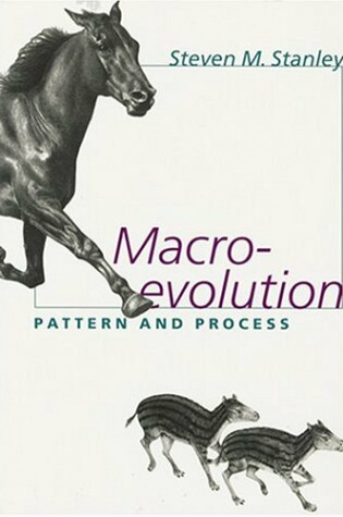 Cover of Macroevolution