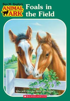 Book cover for Foals in the Fields