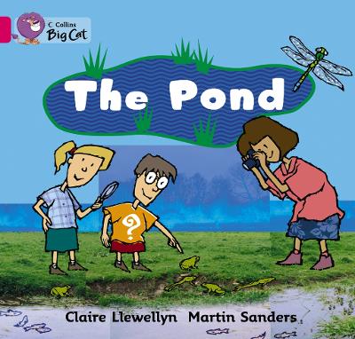 Book cover for The Pond