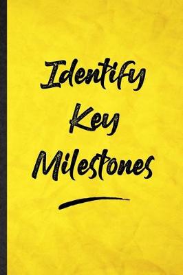 Book cover for Identify Key Milestones