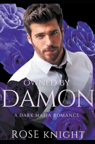 Cover of Owned By Damon