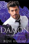 Book cover for Owned By Damon