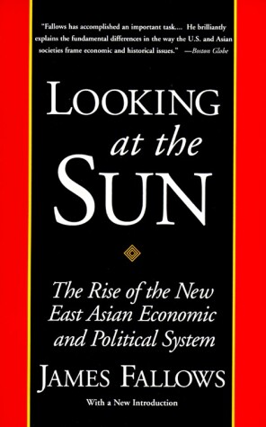 Book cover for Looking at the Sun