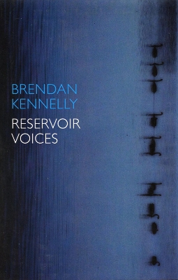 Book cover for Reservoir Voices