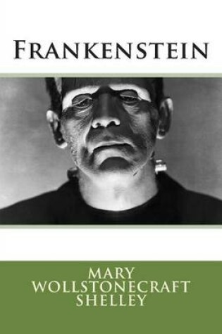 Cover of Frankenstein (Stories Classics)