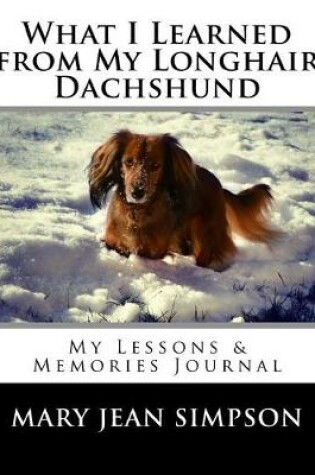 Cover of What I Learned from My Longhair Dachshund