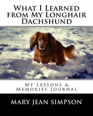 Book cover for What I Learned from My Longhair Dachshund