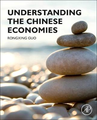 Book cover for Understanding the Chinese Economies