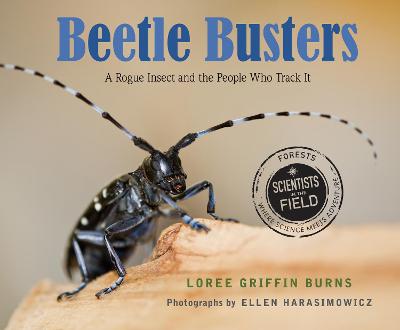 Book cover for Beetle Busters
