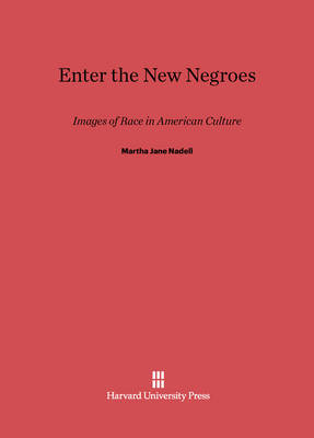 Cover of Enter the New Negroes