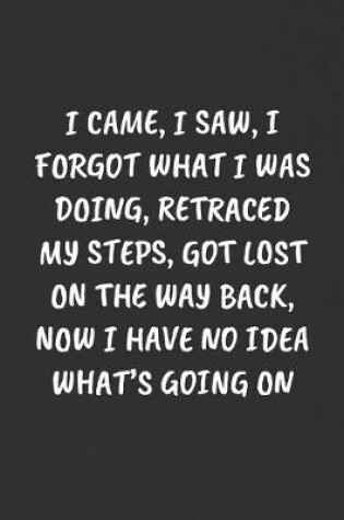 Cover of I Came, I Saw, I Forgot What I Was Doing, Retraced My Steps, Got Lost on the Way Back, Now I Have No Idea What's Going on