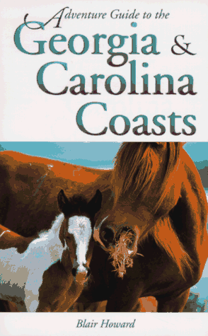 Book cover for Adventure Guide to the Georgia and Carolina Coasts