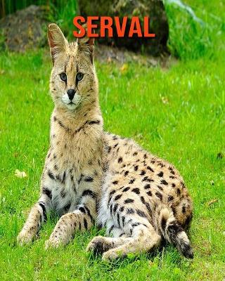 Book cover for Serval