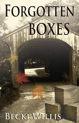 Book cover for Forgotten Boxes