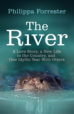 Book cover for The River