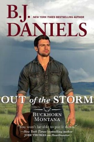 Cover of Out of the Storm