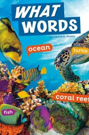 Cover of Word Play What Words