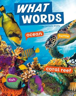 Book cover for Word Play What Words