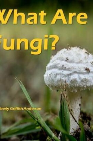 Cover of What Are Fungi?