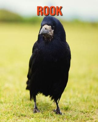 Book cover for Rook