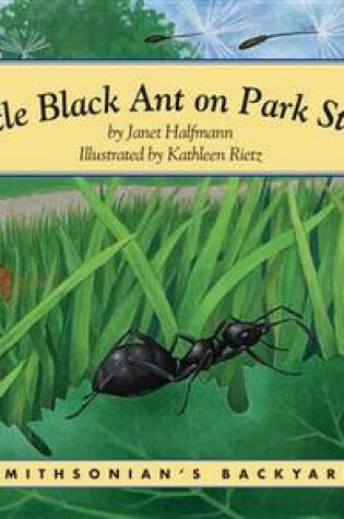 Cover of Little Black Ant on Park Street