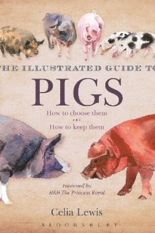 Cover of The Illustrated Guide to Pigs