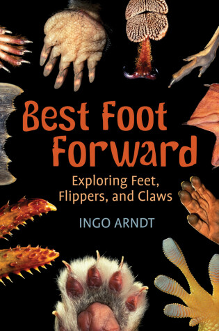 Cover of Best Foot Forward