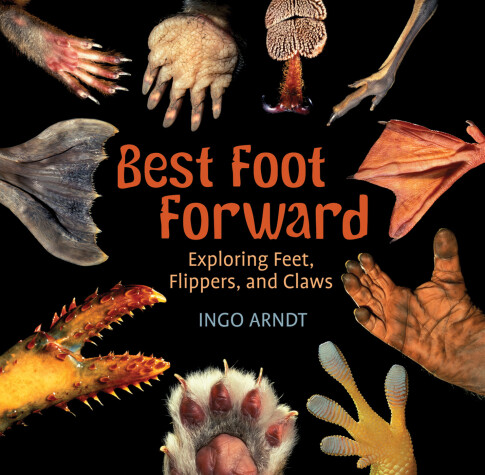 Book cover for Best Foot Forward