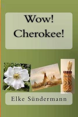 Book cover for Wow! Cherokee!