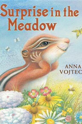 Cover of Surprise in the Meadow