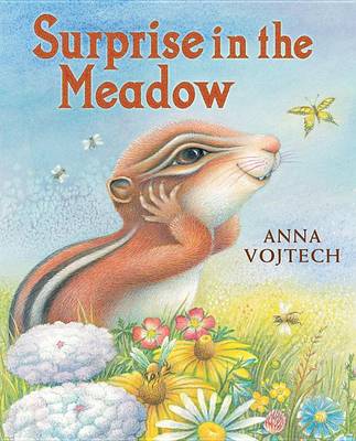 Book cover for Surprise in the Meadow