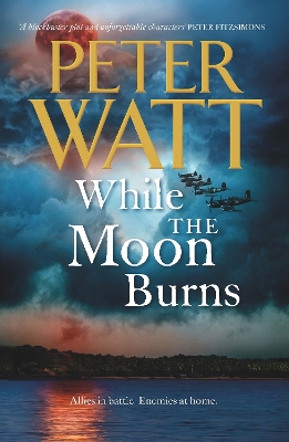 Book cover for While the Moon Burns: The Frontier Series 11