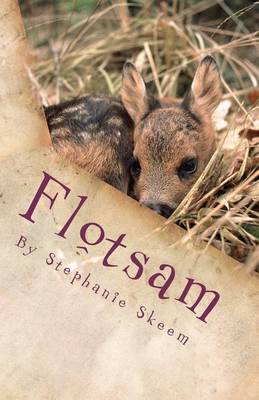 Book cover for Flotsam