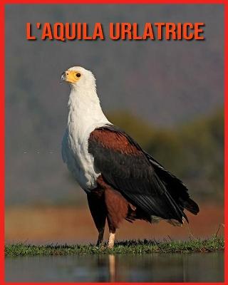 Book cover for L'aquila Urlatrice