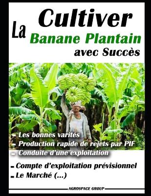 Book cover for Cultiver la banane plantain