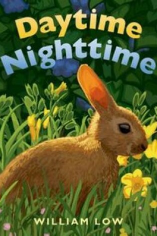 Cover of Daytime Nighttime