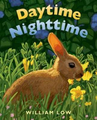 Book cover for Daytime Nighttime