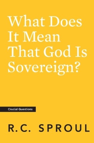 Cover of What Does It Mean That God is Sovereign?