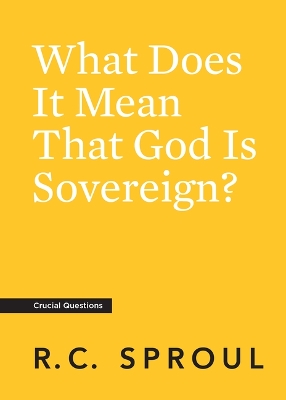 Book cover for What Does It Mean That God is Sovereign?