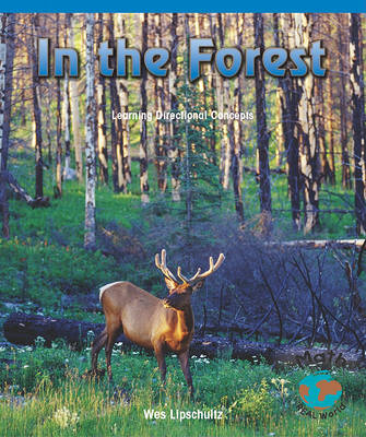 Book cover for In the Forest